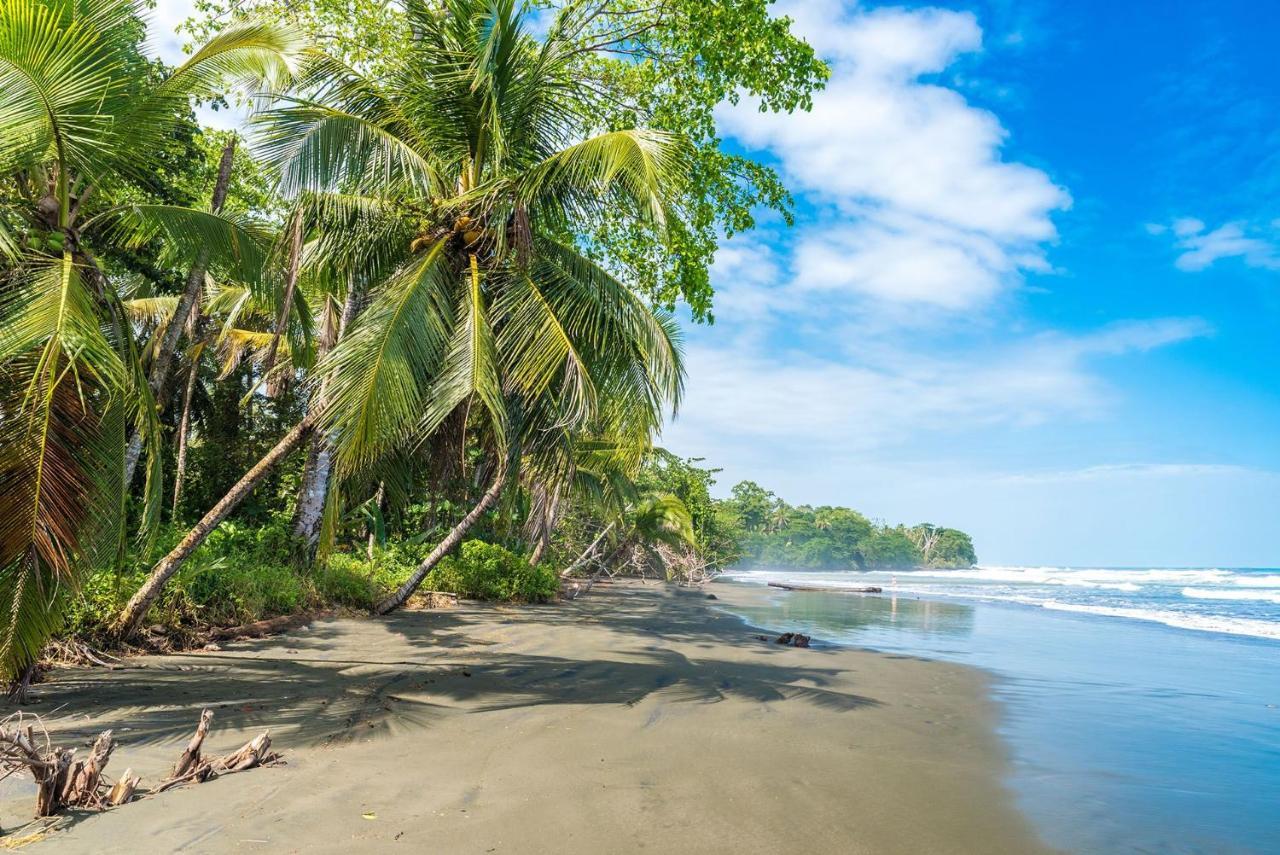 Casa Verde Puerto Viejo de Talamanca Екстер'єр фото